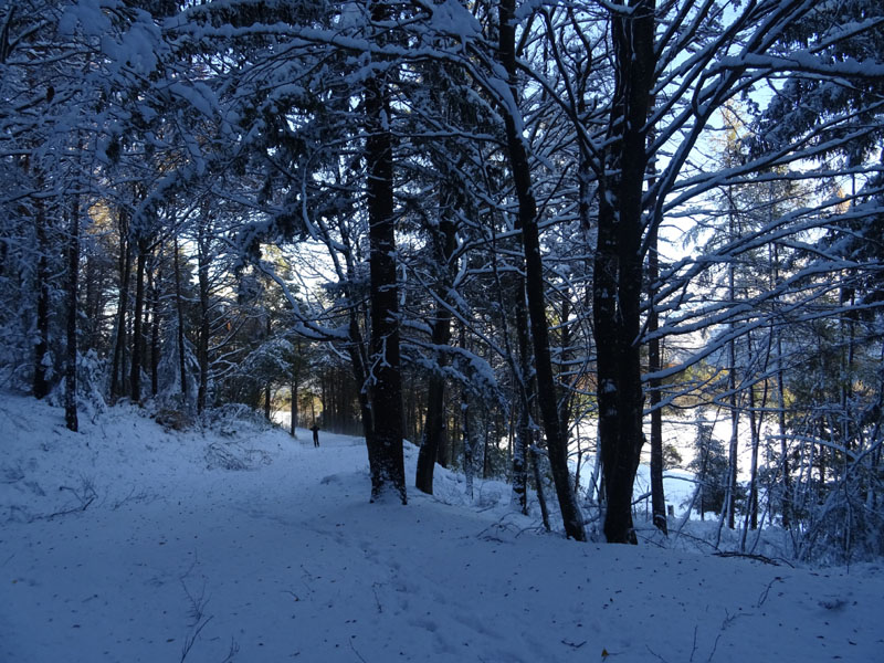 prime escursioni sulla neve....autunno  2019